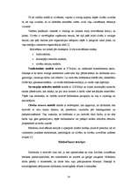 Referāts 'Menedžmenta pamatfunkcijas un to pielietošanas iespējas', 19.