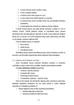 Referāts 'Menedžmenta pamatfunkcijas un to pielietošanas iespējas', 20.