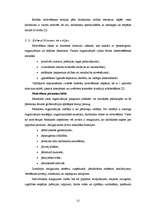 Referāts 'Menedžmenta pamatfunkcijas un to pielietošanas iespējas', 22.