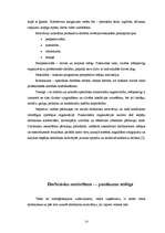 Referāts 'Menedžmenta pamatfunkcijas un to pielietošanas iespējas', 23.