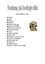 Prezentācija 'Ģērbšanās stili', 17.