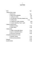 Referāts 'Inflācija', 2.