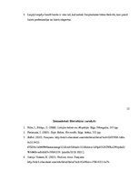 Referāts 'Balets pasaulē un Latvijā', 15.