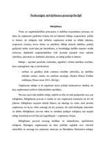 Konspekts 'Saskanīgās mērķēšanas pamatprincipi', 1.