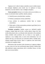 Konspekts 'Saskanīgās mērķēšanas pamatprincipi', 7.