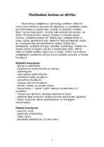 Konspekts 'Marihuānas ietekme uz cilvēku', 5.