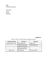 Diplomdarbs 'Ārējās un iekšējās vides analīze un priekšlikumi tūrisma uzņēmuma SIA "Club 1934', 49.