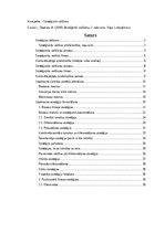 Konspekts 'Stratēģiskā vadība', 1.