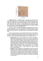 Konspekts 'Stratēģiskā vadība', 12.