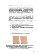 Konspekts 'Stratēģiskā vadība', 13.