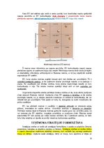 Konspekts 'Stratēģiskā vadība', 19.