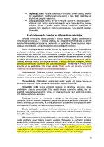 Konspekts 'Stratēģiskā vadība', 33.