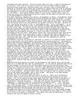 Eseja 'The Symposium, A Philosophers Guide to Love', 2.