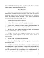 Referāts 'Mārketinga darbības analīze', 6.