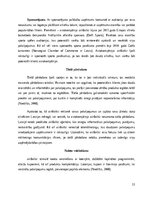 Referāts 'Mārketinga darbības analīze', 11.