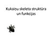 Prezentācija 'Kukaiņu skeleta struktūras un funkcijas', 1.