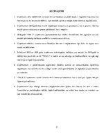 Referāts 'Uzņēmuma "Tele 2" finanšu analīze', 17.