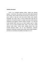 Referāts 'Jaunlatviešu ieguldījums latviešu literārās valodas veidošanās procesā', 3.