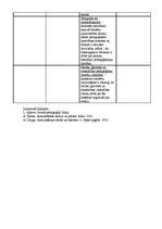 Konspekts 'Audzināšanas principi', 3.