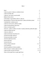 Prakses atskaite 'Prakses atskaite loģistikā', 2.