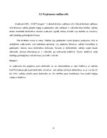 Prakses atskaite 'Prakses atskaite loģistikā', 21.