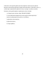 Prakses atskaite 'Prakses atskaite loģistikā', 26.