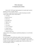 Prakses atskaite 'Prakses atskaite loģistikā', 36.