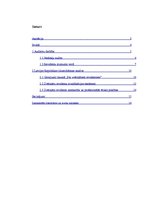 Referāts 'Auditoru darbība un tās regulēšana. LR likums "Par zvērinātiem revidentiem', 2.