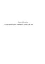 Referāts 'Zigmunds Freids', 9.