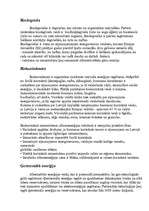 Referāts 'Vides aizsardzība', 7.