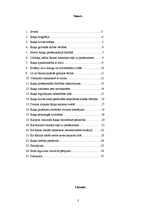 Referāts 'Rainis', 2.