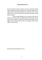 Referāts 'Rainis', 9.