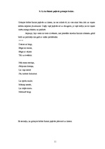 Referāts 'Rainis', 11.