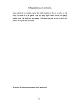 Referāts 'Rainis', 14.