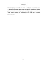 Referāts 'Rainis', 25.