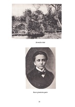 Referāts 'Rainis', 28.