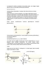 Paraugs 'Statiski nenoteicama rāmja aprēķins ar pārvietojuma metodi', 3.