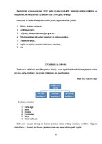 Referāts 'Mājsaimniecības budžeta analīze', 12.