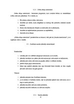 Referāts 'Mājsaimniecības budžeta analīze', 26.