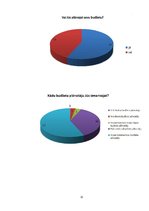 Referāts 'Mājsaimniecības budžeta analīze', 32.