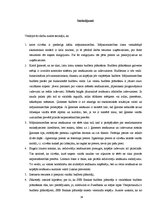 Referāts 'Mājsaimniecības budžeta analīze', 34.