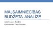 Referāts 'Mājsaimniecības budžeta analīze', 39.