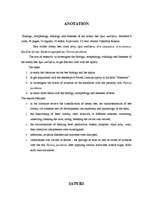 Diplomdarbs 'Medus bites Apis mellifera bioloģija, morfoloģija, etoloģija un slimības', 3.