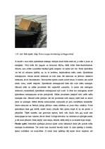 Diplomdarbs 'Medus bites Apis mellifera bioloģija, morfoloģija, etoloģija un slimības', 31.