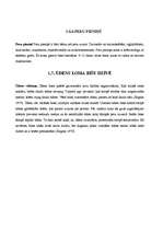 Diplomdarbs 'Medus bites Apis mellifera bioloģija, morfoloģija, etoloģija un slimības', 39.