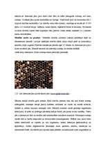 Diplomdarbs 'Medus bites Apis mellifera bioloģija, morfoloģija, etoloģija un slimības', 41.