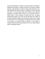 Eseja 'Eseja mācību priekšmetā "Biznesa informācijas menedžments"', 4.