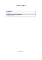 Eseja 'Austrumu kultūra mūsdienās', 2.