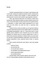 Referāts 'Cilvēkresursu izmantošanas efektivitātes paaugstināšanas veidi', 1.