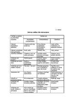 Referāts 'Cilvēkresursu izmantošanas efektivitātes paaugstināšanas veidi', 13.